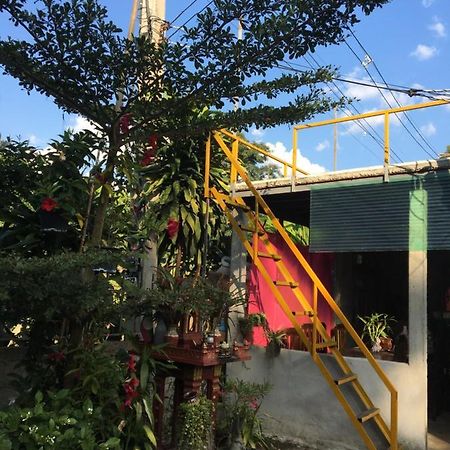 Thong Family Homestay Chiangdao Chiang Dao Dış mekan fotoğraf