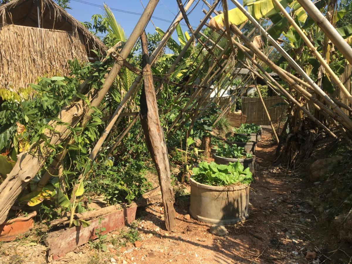 Thong Family Homestay Chiangdao Chiang Dao Dış mekan fotoğraf