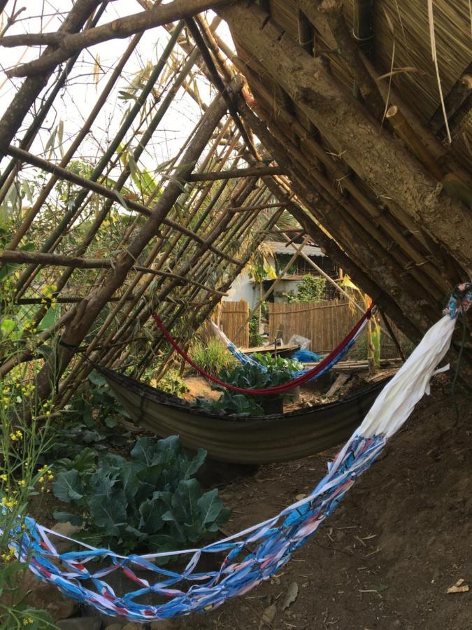 Thong Family Homestay Chiangdao Chiang Dao Dış mekan fotoğraf