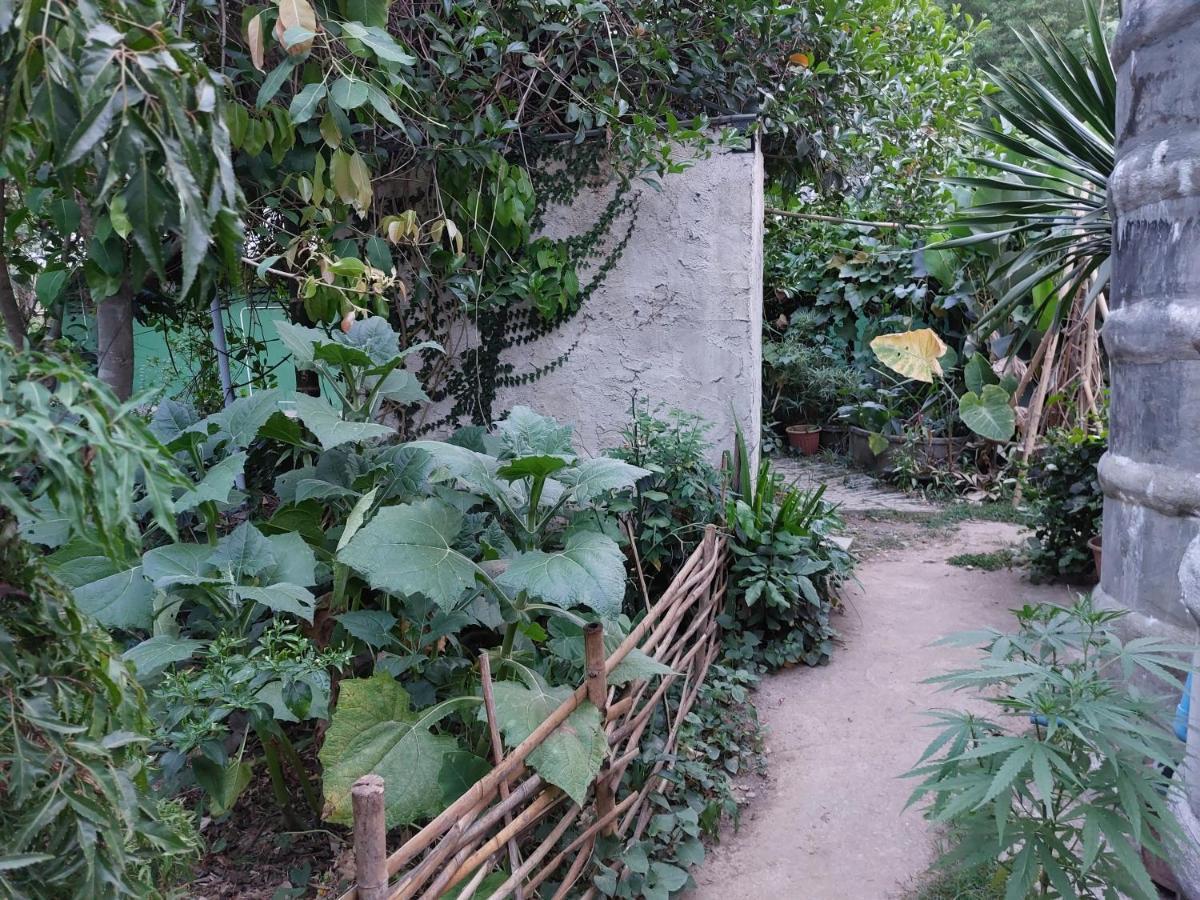 Thong Family Homestay Chiangdao Chiang Dao Dış mekan fotoğraf