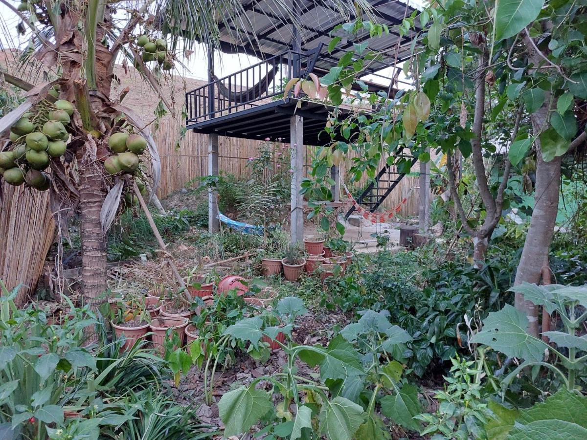 Thong Family Homestay Chiangdao Chiang Dao Dış mekan fotoğraf